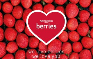 agromolinillo_berries